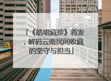 《皓珺藏珍》首发，解码云南民间收藏的坚守与担当