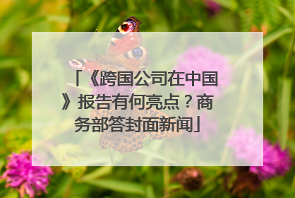 《跨国公司在中国》报告有何亮点？商务部答封面新闻