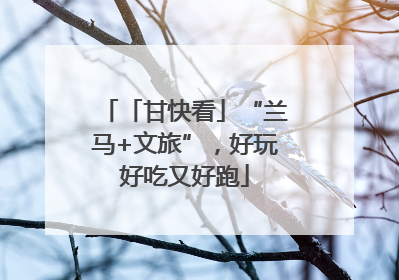 「甘快看」“兰马+文旅”，好玩好吃又好跑