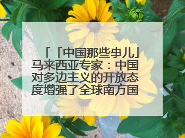 「中国那些事儿」马来西亚专家：中国对多边主义的开放态度增强了全球南方国家的力量
