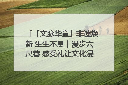 「文脉华章」非遗焕新 生生不息｜漫步六尺巷 感受礼让文化浸润的“巷”往生活