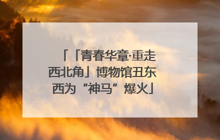 「青春华章·重走西北角」博物馆丑东西为“神马”爆火