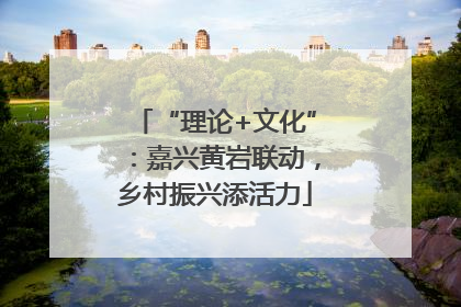 “理论+文化”：嘉兴黄岩联动，乡村振兴添活力