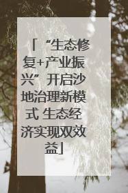 “生态修复+产业振兴”开启沙地治理新模式 生态经济实现双效益