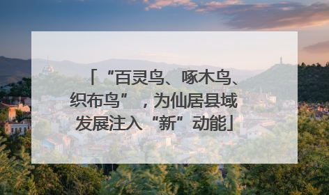“百灵鸟、啄木鸟、织布鸟”，为仙居县域发展注入“新”动能