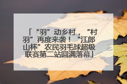 “羽”动乡村，“村羽”再度来袭！“江郎山杯”农民羽毛球超级联赛第二站圆满落幕