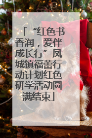 “红色书香润，爱伴成长行”凤城镇福蕾行动计划红色研学活动圆满结束