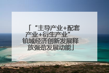 “主导产业+配套产业+衍生产业” 镇域经济创新发展释放强劲发展动能