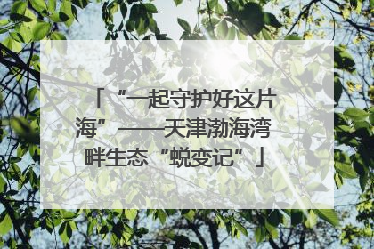 “一起守护好这片海”——天津渤海湾畔生态“蜕变记”