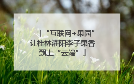 “互联网+果园”让桂林灌阳李子果香飘上“云端”