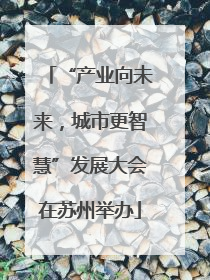 “产业向未来，城市更智慧”发展大会在苏州举办