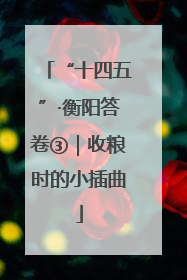 “十四五”·衡阳答卷③｜收粮时的小插曲