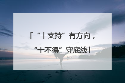 “十支持”有方向，“十不得”守底线