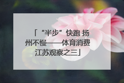 “半步”快跑 扬州不慢——体育消费江苏观察之三