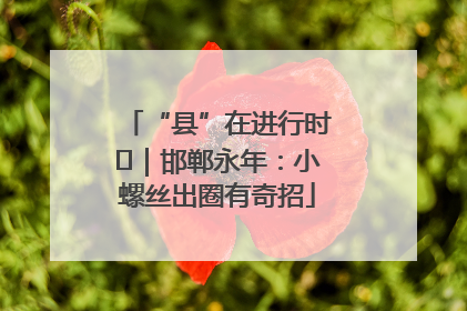 “县”在进行时⑬｜邯郸永年：小螺丝出圈有奇招