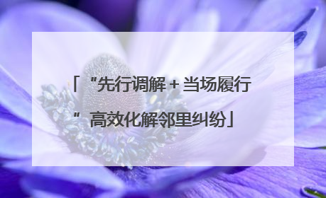 “先行调解＋当场履行”高效化解邻里纠纷
