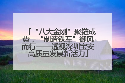 “八大金刚”聚链成势，“制造铁军”御风而行——透视深圳宝安高质量发展新活力