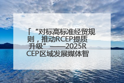 “对标高标准经贸规则，推动RCEP提质升级”——2025RCEP区域发展媒体智库论坛举行专题对话