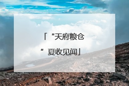 “天府粮仓”夏收见闻
