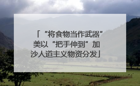 “将食物当作武器” 美以“把手伸到”加沙人道主义物资分发
