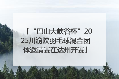 “巴山大峡谷杯”2025川渝陕羽毛球混合团体邀请赛在达州开赛