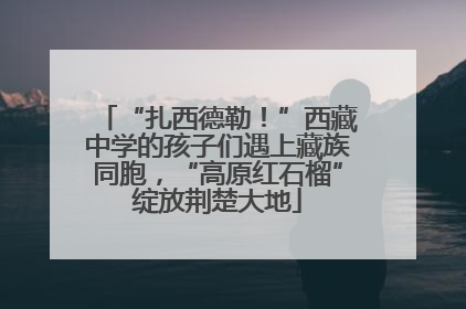 “扎西德勒！”西藏中学的孩子们遇上藏族同胞，“高原红石榴”绽放荆楚大地