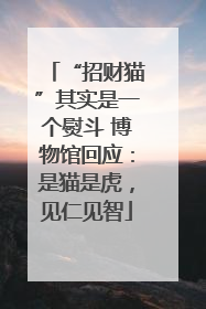 “招财猫”其实是一个熨斗 博物馆回应：是猫是虎，见仁见智