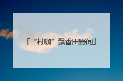 “村咖”飘香田野间