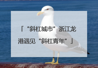 “斜杠城市”浙江龙港遇见“斜杠青年”
