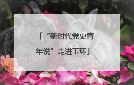 “新时代党史青年说”走进玉环