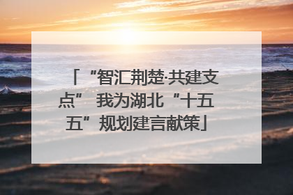 “智汇荆楚·共建支点” 我为湖北“十五五”规划建言献策