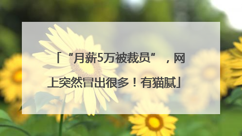 “月薪5万被裁员”，网上突然冒出很多！有猫腻