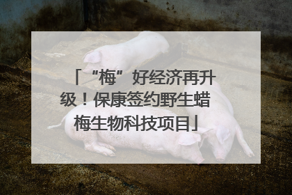 “梅”好经济再升级！保康签约野生蜡梅生物科技项目
