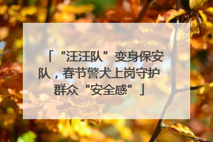 “汪汪队”变身保安队，春节警犬上岗守护群众“安全感”