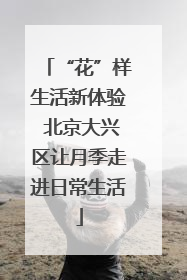 “花”样生活新体验 北京大兴区让月季走进日常生活