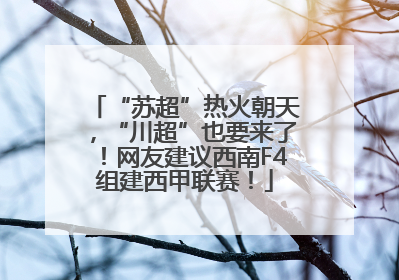 “苏超”热火朝天，“川超”也要来了！网友建议西南F4组建西甲联赛！