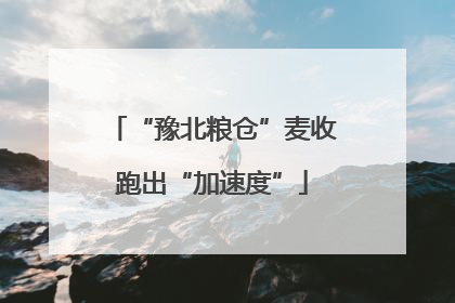 “豫北粮仓”麦收跑出“加速度”
