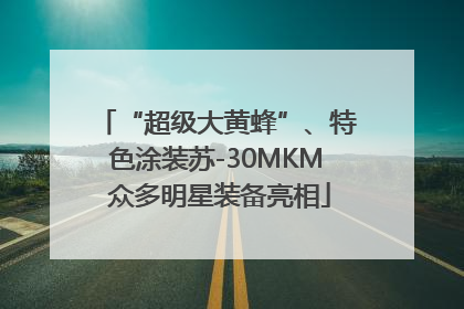 “超级大黄蜂”、特色涂装苏-30MKM 众多明星装备亮相