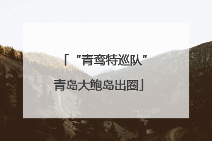 “青鸾特巡队”青岛大鲍岛出圈
