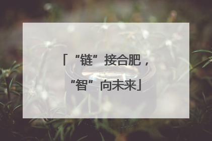 “链”接合肥，“智”向未来