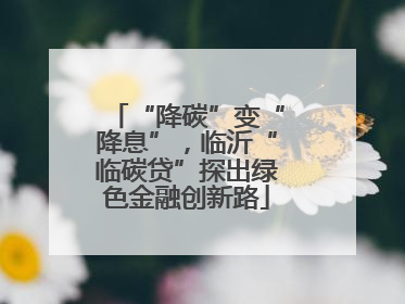 “降碳”变“降息”，临沂“临碳贷”探出绿色金融创新路