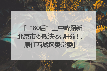 “80后”王中峰履新北京市委政法委副书记，原任西城区委常委