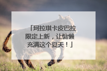 珂拉琪卡皮巴拉限定上新，让慵懒充满这个夏天！