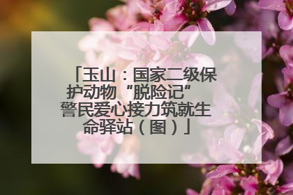玉山：国家二级保护动物“脱险记” 警民爱心接力筑就生命驿站（图）