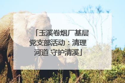 玉溪卷烟厂基层党支部活动：清理河道 守护清溪