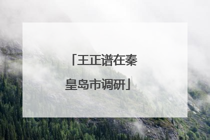 王正谱在秦皇岛市调研