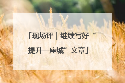 现场评｜继续写好“提升一座城”文章