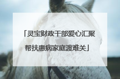 灵宝财政干部爱心汇聚 帮扶患病家庭渡难关