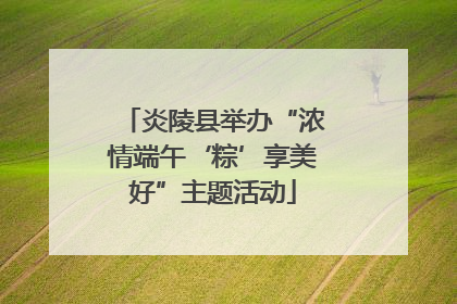 炎陵县举办“浓情端午‘粽’享美好”主题活动