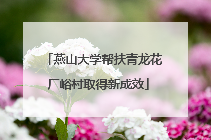 燕山大学帮扶青龙花厂峪村取得新成效